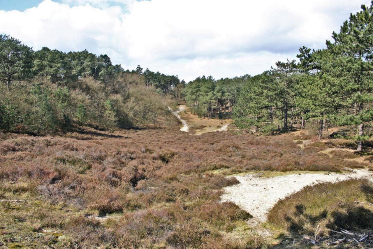 Prinsenhof # Tweeentwintig * Bergen